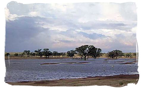 The Kalahari after a few of those rare heavy thunder storms - Kalahari Desert Climate in the ...