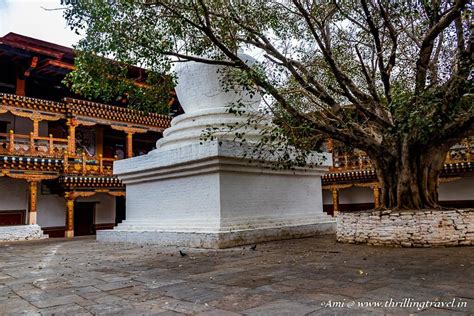 The Majestic Winter Capital of Bhutan - Punakha Dzong - Thrilling Travel