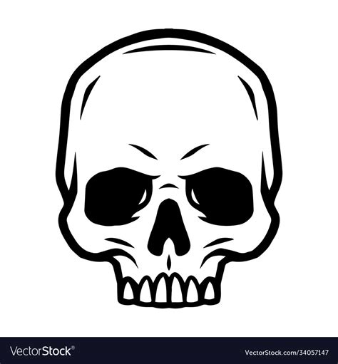 Skull without jaw vintage concept Royalty Free Vector Image