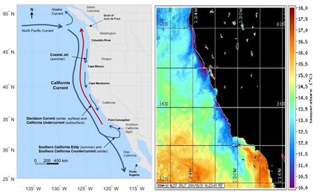 California Current System is collapsing: Enormous disruption predicted by new study for the ...