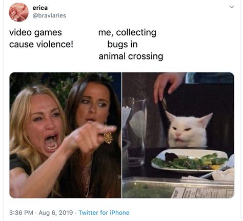 'Woman Yelling At A Cat' is Derived From Two Popular Memes