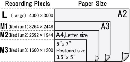 A4 Paper Size In Pixels