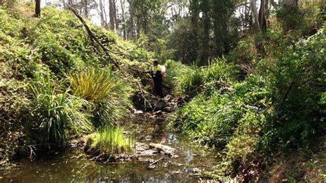 Conservation and Restoration of Bush Area and Habitat - Kleinfelder