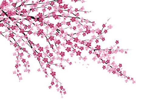 Cherry Blossom Silhouette Painting : Beautiful oversize blossom silhouette stencil 1 large sheet ...