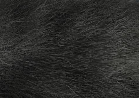 Fur - Gorilla | Explore JoeLosFeliz's photos on Flickr. JoeL… | Flickr - Photo Sharing!