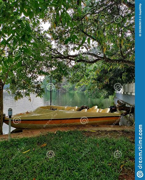 Periyar river in Kerala. stock image. Image of nature - 263063613