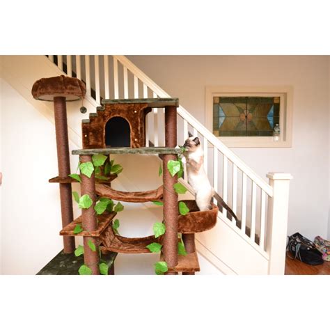 Castle Cat Tower with Two Hammocks