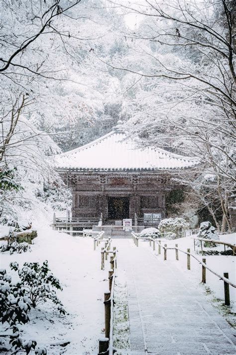 Photo of snowy Japanese temple wows people around the world ...