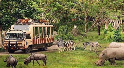 Dubai Safari Park - Dubai Explorer