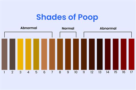 Does Yellow Poop Mean Infection? Understanding Digestive Health