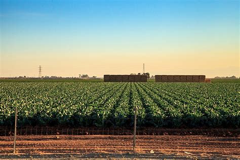 What Are The Major Natural Resources Of Mexico? - WorldAtlas