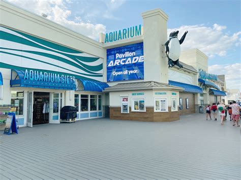 Why Jenkinson's Aquarium On The Point Pleasant Boardwalk Is My Family's Favorite Spot