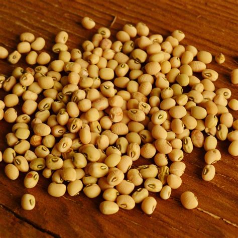 Heirloom Cowpea/ Southern Pea Seeds – Thresh Seed Co.