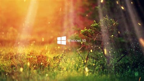 Live Wallpaper Hd For Windows 10 ~ Live Wallpapers Windows 10 | Bodewasude