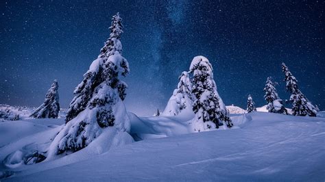 Nature Night Norway Snow Starry Sky Stars Winter HD Winter Wallpapers | HD Wallpapers | ID #57475