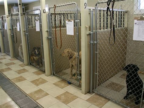 Pin on Dog & cat kennel ideas. | Indoor dog kennel, Dog boarding kennels, Dog boarding facility