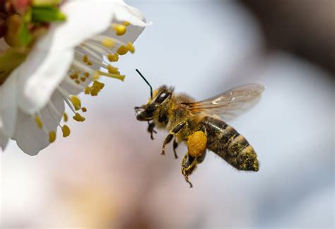 Our sweet-as-honey story | Keeper’s Collective