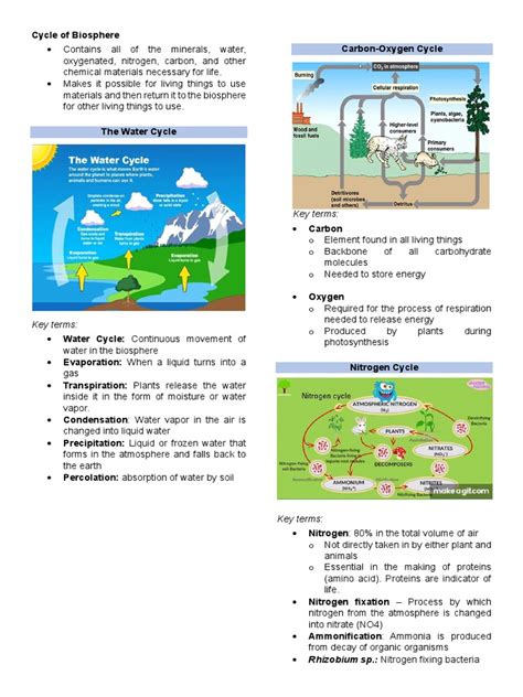 Cycle of Biosphere | PDF | Water | Sulfur