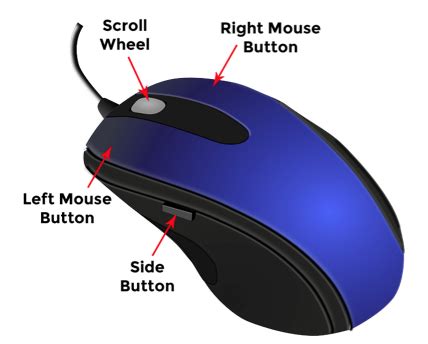 Mechanical Mouse Parts With Names