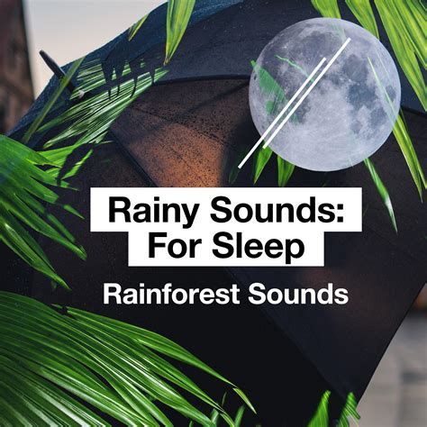 Rainforest Sounds - Rainy Sounds: For Sleep | iHeart