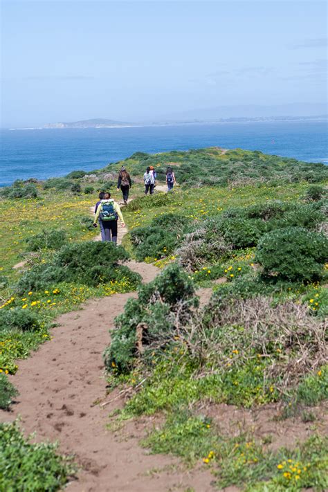 several people walking on a path near the ocean with wildflowers and grass in the foreground