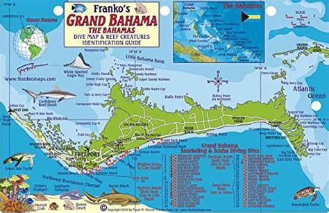 Bahamas Fish Card, Grand Bahama 2010 by Frankos Maps Ltd. | Grand bahama, Bahamas island ...