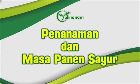 Bagaimana Cara Menanam Sayuran dan Kapan Masa Panen Sayuran Dapat di ...