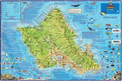 Oahu Hawaii Dive & Snorkeling Guide Laminated Map by Franko Maps | eBay