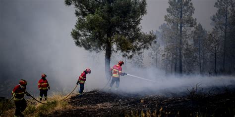 Portugal: forest fire in a natural park in the center of the country ...