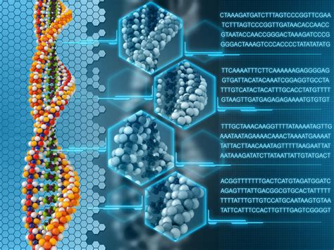 Timeline of human genome sequencing - WizardHealth