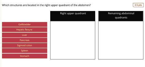 SOLVED: Which structures are located in the right upper quadrant of the ...