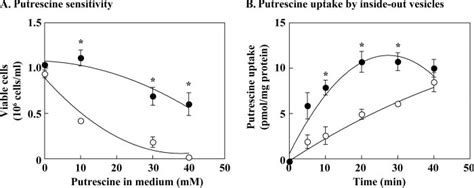 Putrescine sensitivity of CHO-S and CHO-T cells and putrescine uptake ...