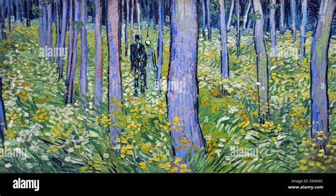 Vincent Van Gogh Undergrowth with Two Figures Stock Photo - Alamy