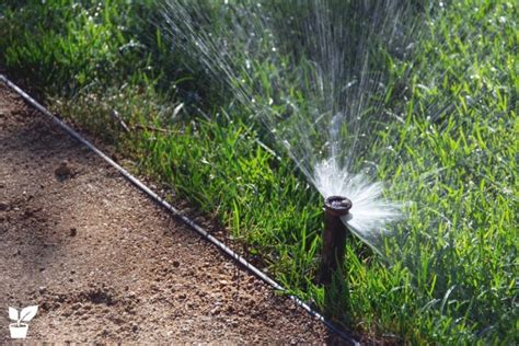 How to Install Your Own Sprinkler System layout - Step By Step Guide