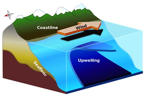 Upwelling - Discovering Galapagos