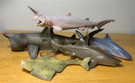 Goblin Shark (Sealife by CollectA) – Animal Toy Blog