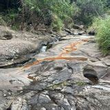 Makamakaole Falls, Maui, Hawaii - 280 Reviews, Map | AllTrails