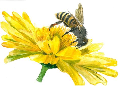 Amazon.com: Honey bee art #A051. Honey Bee art print (8x10).Honey bee wall art.Bee painting ...