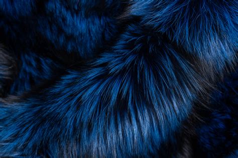 Blue Silver Fox Fur Throw From Scandinavian Foxes | Paustian