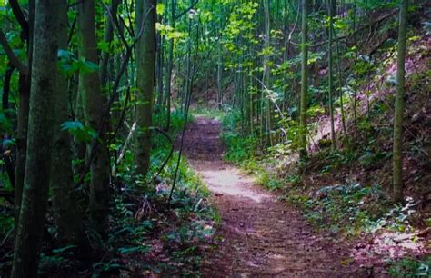 12 Best Hiking Trails in Blue Ridge, GA | Ranked Easy to Hard