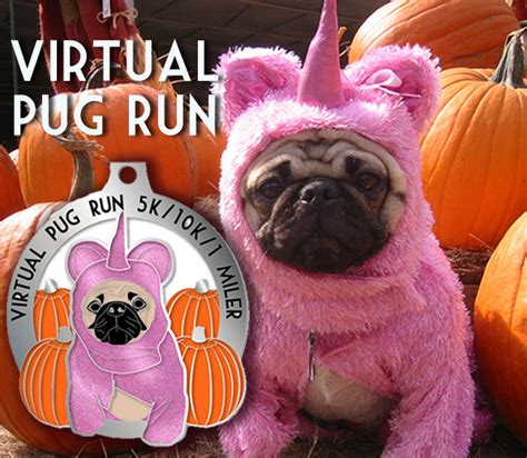 The Virtual Pug Run 5k/10k & 1 Miler