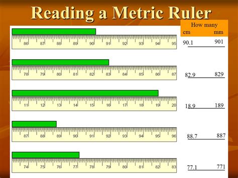 Reading A Metric Ruler Worksheets Answers