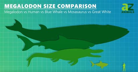 Spinosaurus vs Mosasaurus: Who Would Win in a Fight? - A-Z Animals