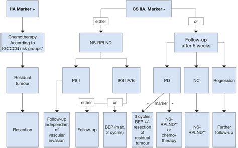 Testicular Cancer - DISEASE MANAGEMENT - Uroweb