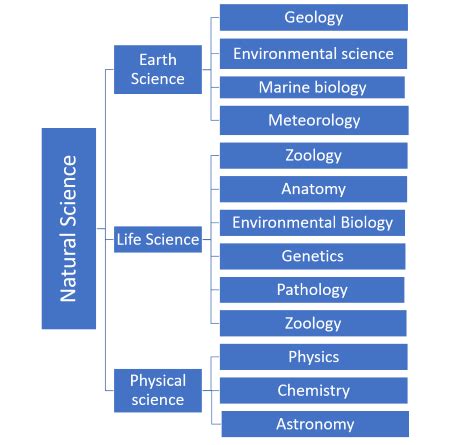 difference between social science and natural science with examples