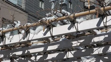 Tokyo snowfall residential area | Stock Video | Pond5