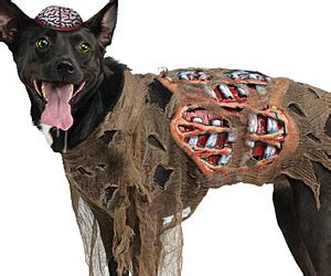 Zombie Dog Costume | i Brain Zombies