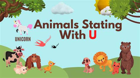 Animals Starting With U (English Vocabulary) - Your Info Master