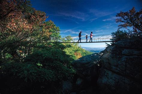 The swinging bridge at Rock City | Chattanooga, Places to go, Places to visit