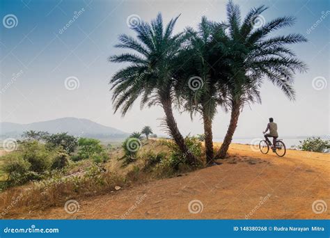 Village road, India editorial stock photo. Image of pathway - 148380268